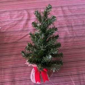 Mini Christmas tree with silver garland